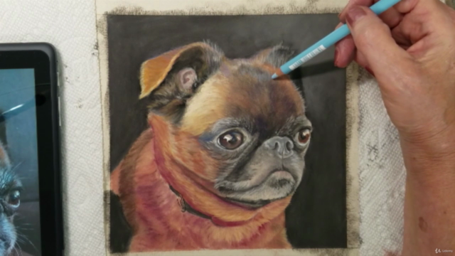 Draw and Paint a Pet Portrait Accurately – Screenshot 4