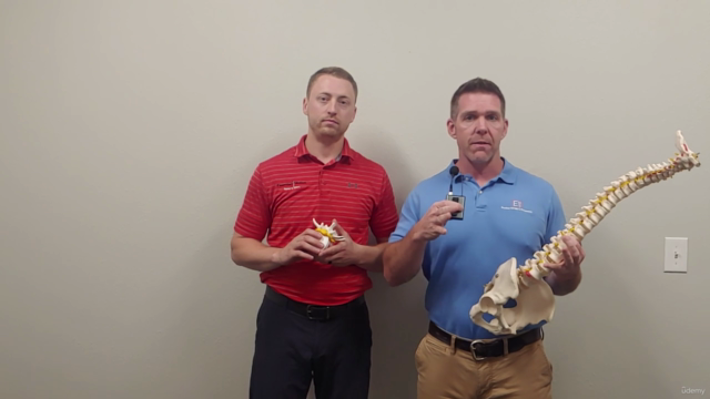 How to Quickly Fix Sciatica in 5 Easy Steps – Screenshot 1