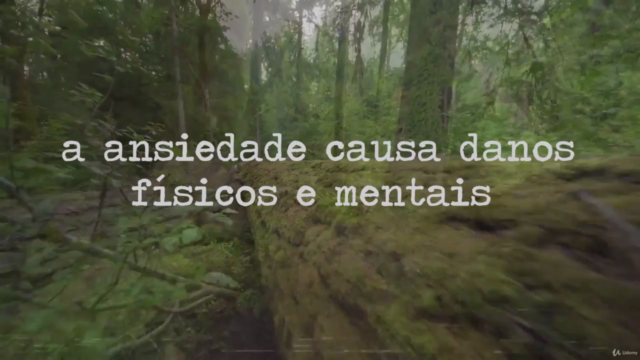 Diário Ansiedade - Treinamento da Mente – Screenshot 2