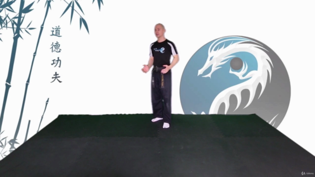 Learn Kung Fu Online - Intermediate – Screenshot 1
