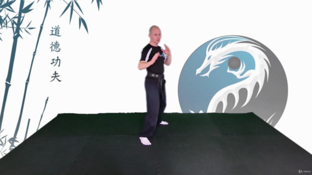 Learn Kung Fu Online - Intermediate – Screenshot 2
