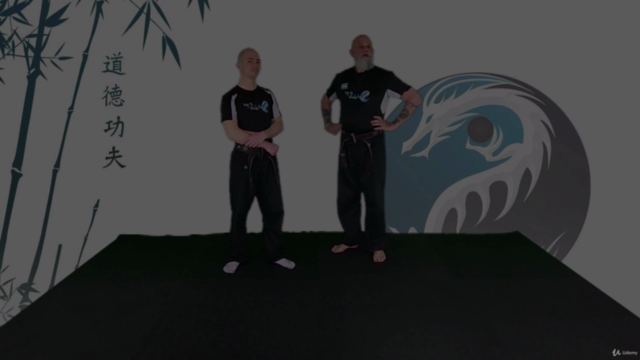 Learn Kung Fu Online - Intermediate – Screenshot 4