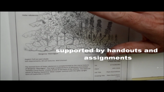 Plant Drawings and Illustrations in Garden Design – Screenshot 3