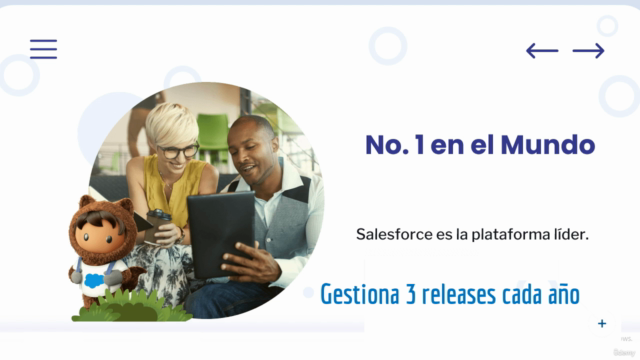 Salesforce Admin – Parte 1: De Principiante a Experto (2025) – Screenshot 2