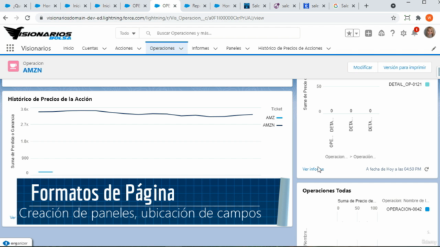 Salesforce Admin – Parte 1: De Principiante a Experto (2025) – Screenshot 3