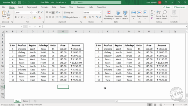 Excel Tables – Screenshot 1