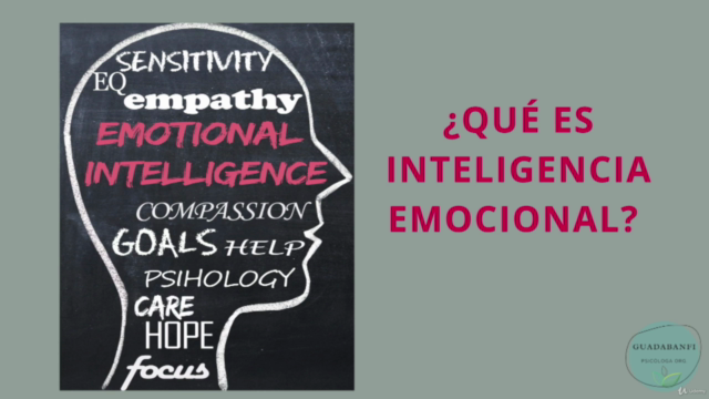 Inteligencia Emocional y Neurociencias – Screenshot 1