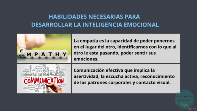 Inteligencia Emocional y Neurociencias – Screenshot 2
