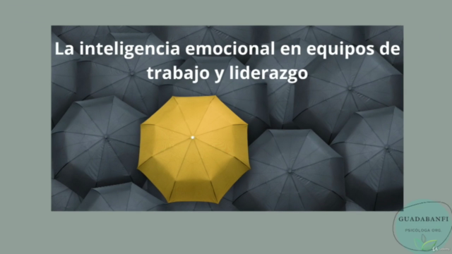 Inteligencia Emocional y Neurociencias – Screenshot 4