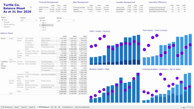 Tableau for Financial Reporting & Financial Analysis - Screenshot_01
