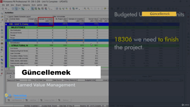 Primavera P6 ile Planlama, Maliyet, Proje kontrol [2022] - Screenshot_02