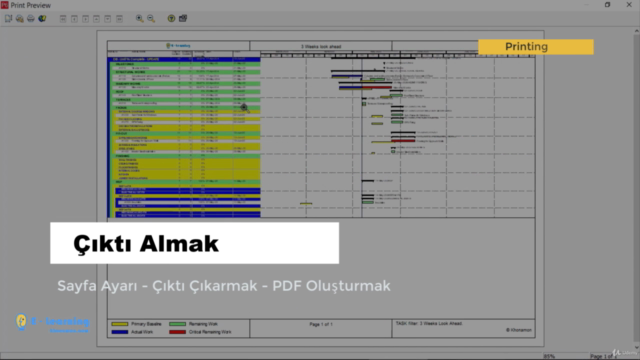 Primavera P6 ile Planlama, Maliyet, Proje kontrol [2022] - Screenshot_04