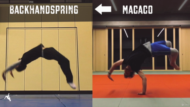 Gymnastics Fundamentals — Basic Acrobatics For Beginners – Screenshot 4