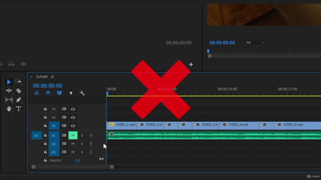 PremierePro 2020 | Introduction to professional editing – Screenshot 4