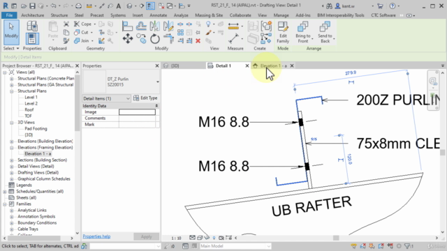 Autodesk Revit Structure 2021 - Beginner to Intermediate – Screenshot 3