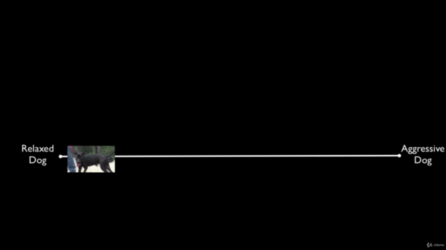 Dog Body Language – Screenshot 1