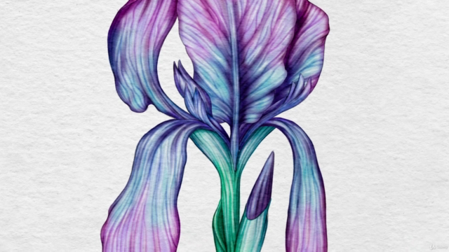 Learn 3 Watercolor Techniques in Procreate – Screenshot 1