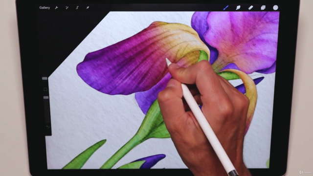Learn 3 Watercolor Techniques in Procreate – Screenshot 2