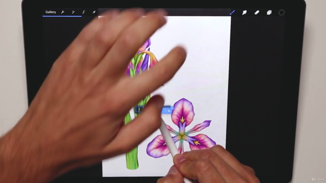 Learn 3 Watercolor Techniques in Procreate – Screenshot 3