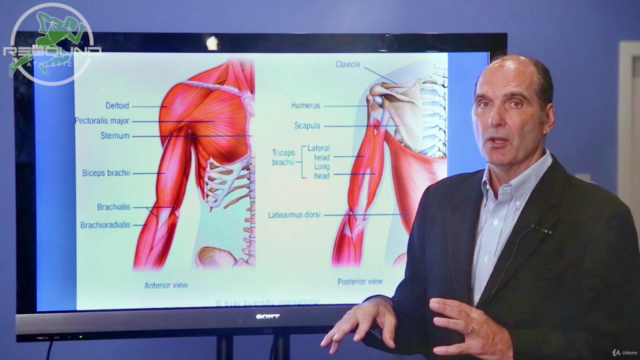Rehabilitation of the Shoulder and Upper Extremity – Screenshot 1