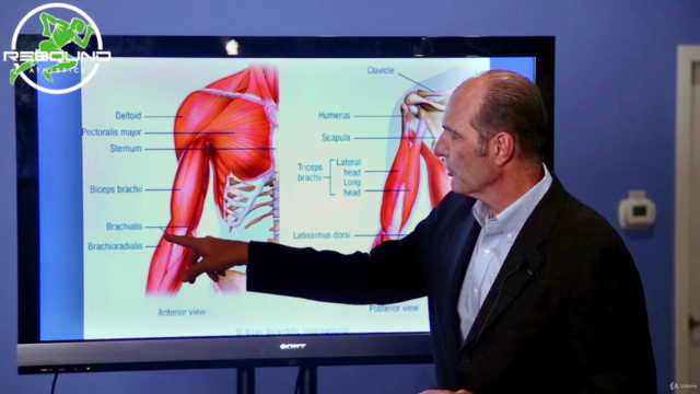 Rehabilitation of the Shoulder and Upper Extremity – Screenshot 2