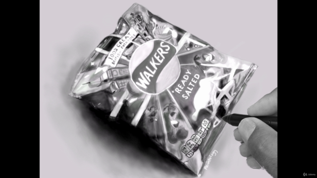 Learn photo realistic drawing with Paintology – Screenshot 1