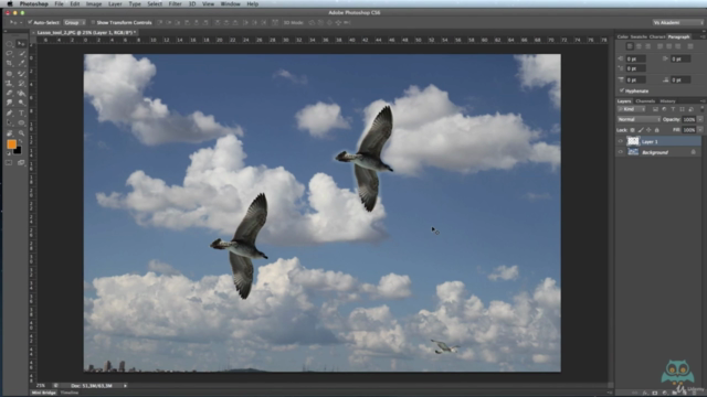 Adobe PHOTOSHOP Kursu SERTİFİKALI – Screenshot 4