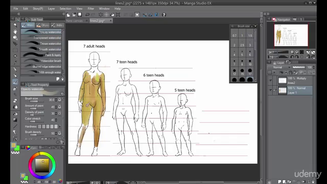 Master Manga Studio 5: Bonus Drawing and Painting – Screenshot 1