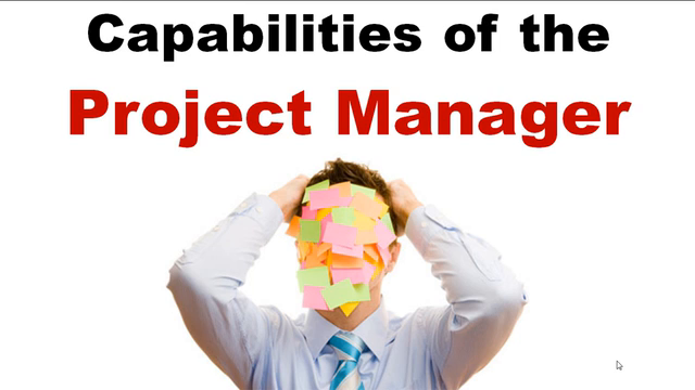 How to become a successful SAP Project Manager – Screenshot 2