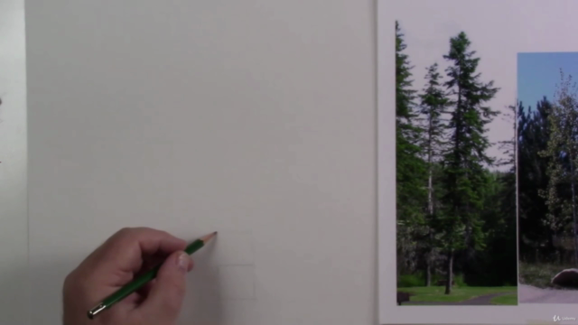 How to Draw A Pine Tree In Graphite – Screenshot 1