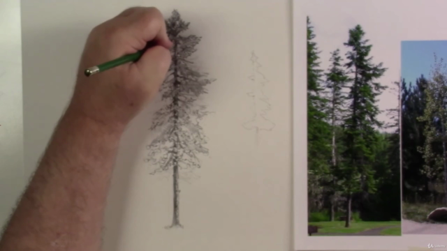 How to Draw A Pine Tree In Graphite – Screenshot 2