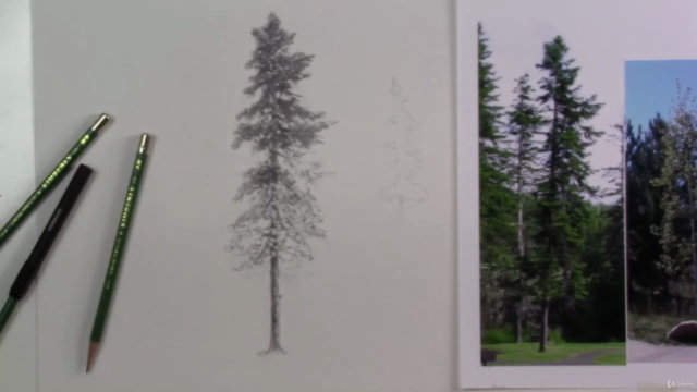 How to Draw A Pine Tree In Graphite – Screenshot 3