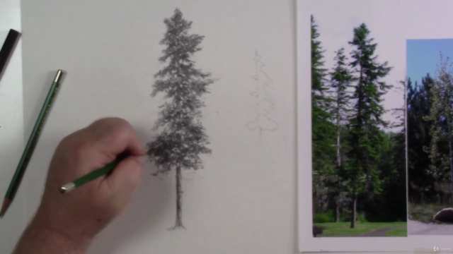 How to Draw A Pine Tree In Graphite – Screenshot 4