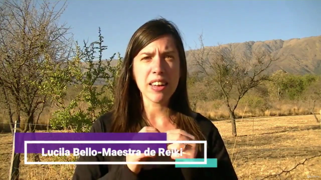 Meditación Sistema HARA DO - CERTIFICADO OFICIAL – Screenshot 3