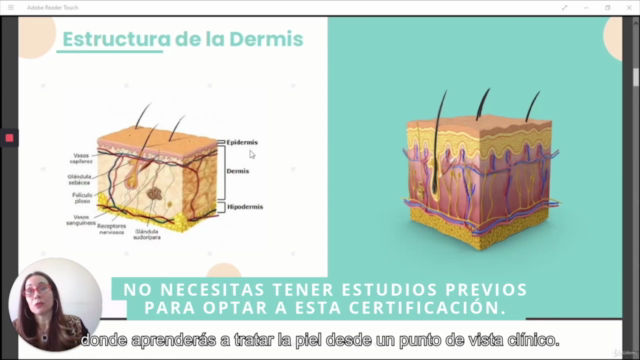 BB Glow (dictado por profesionales de la salud) – Screenshot 3