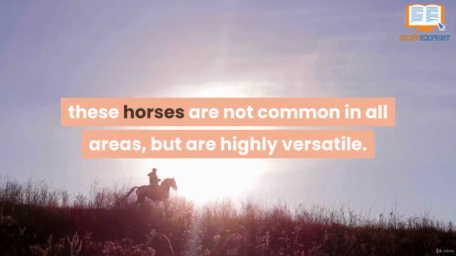 Horse Care 2.0 – Screenshot 2