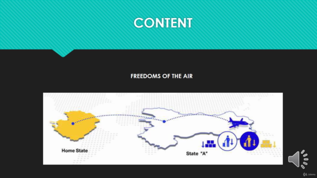 Fundamentals of aviation law – Screenshot 4