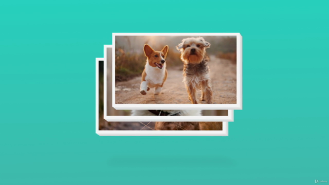 Corso di Addestramento Completo per Educare il Cane – Screenshot 4