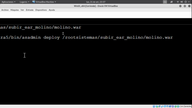 Administración Jakarta EE con Payara 5, JDK 11, Ubuntu 20 – Screenshot 3