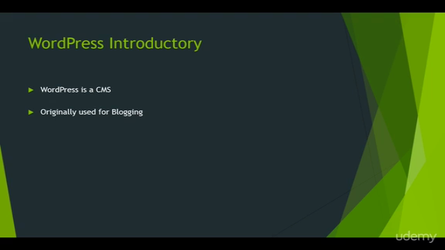 Master Website Design and Development Using WordPress – Screenshot 1