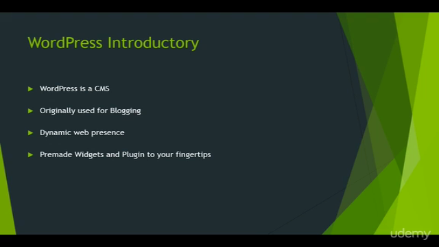 Master Website Design and Development Using WordPress – Screenshot 2