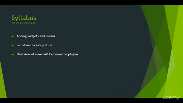 Master Website Design and Development Using WordPress – Screenshot 4