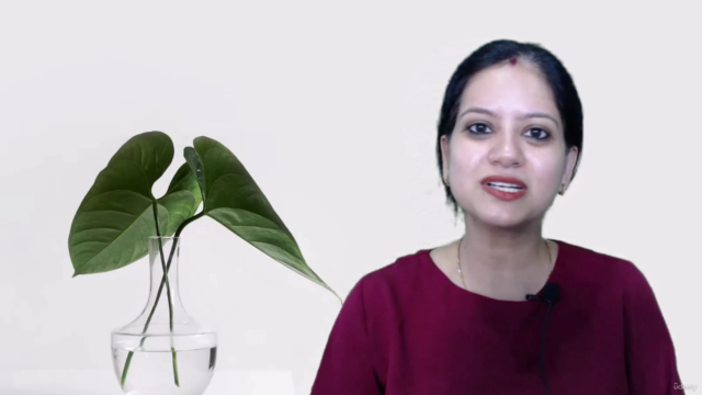 Manual Software Testing: Complete Course with Practical Labs – Screenshot 3