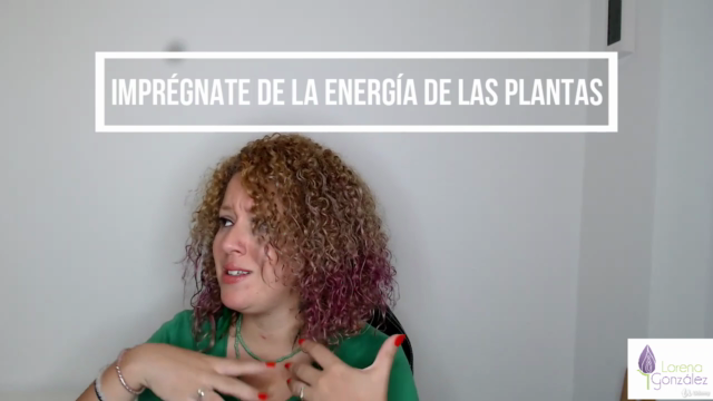Sanación con hierbas para Mujeres – Screenshot 2