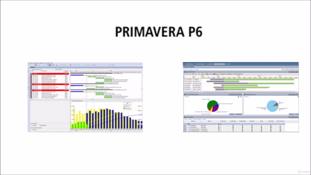 Aprende a utilizar Oracle Primavera P6 ¡de forma ACELERADA! – Screenshot 2