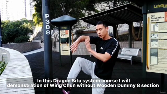 Wing Chun Wooden Dummy (without dummy) fifth form – Screenshot 1