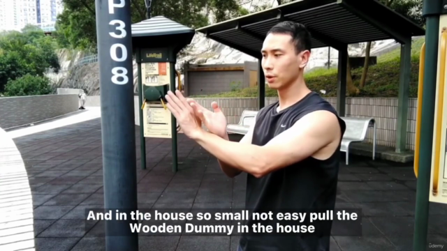 Wing Chun Wooden Dummy (without dummy) fifth form – Screenshot 3