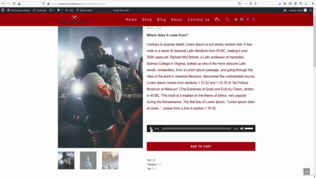 Complete WordPress website course to sell music downloads – Screenshot 3