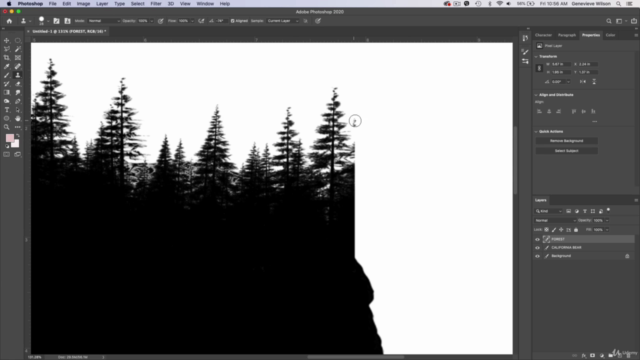 The Complete Logo Design Masterclass: Adobe Photoshop – Screenshot 2