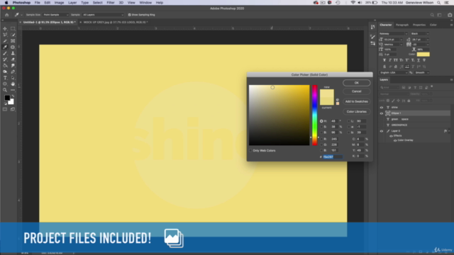 The Complete Logo Design Masterclass: Adobe Photoshop – Screenshot 3
